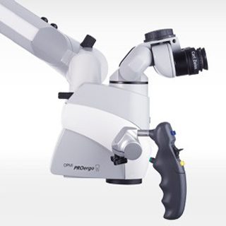 Endodontics lifedent